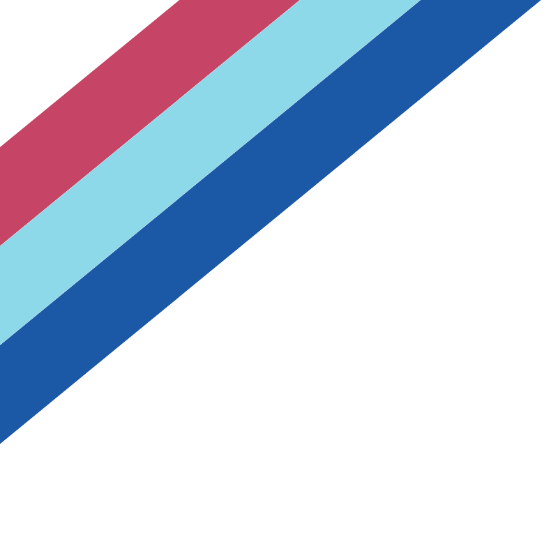 Mehsana Security Services Logo